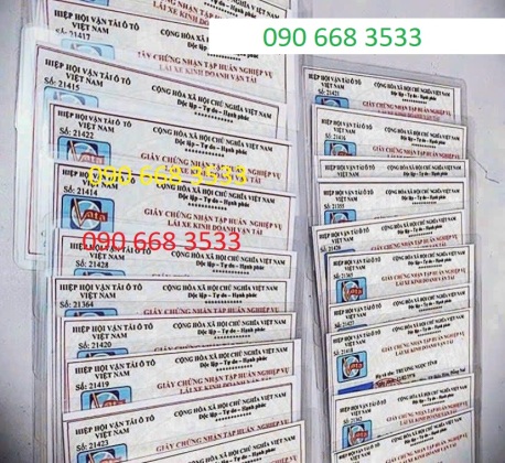 mua chung chi tap huan lai xe o to binh duong uy tin nhat