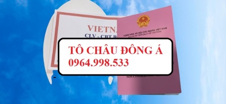 TÔ CHÂU ĐÔNG Á GROUP - DỊCH VỤ LÀM GIẤY PHÉP LIÊN VẬN VIỆT LÀO tại  NGHỆ AN