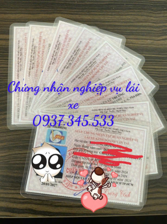 Tô Châu Group chuyên cấp giấy chứng nhận nghiệp vụ lái xe ở Tây Ninh