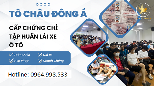 Chứng nhận tập huấn nghiệp vụ lái xe kinh doanh vận tải tại Nam Định giá rẻ