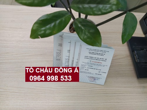 Đổi bằng lái xe IDP siêu nhanh tại Quảng Ninh