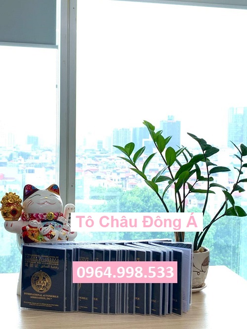 Đổi bằng lái xe quốc tế IAA cực nhanh tại Hòa Bình