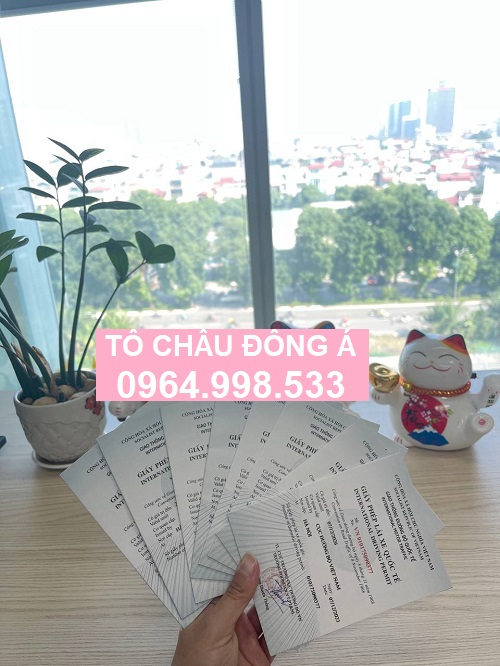 Đổi bằng lái xe quốc tế IAA, IDP cực nhanh tại Thái Bình