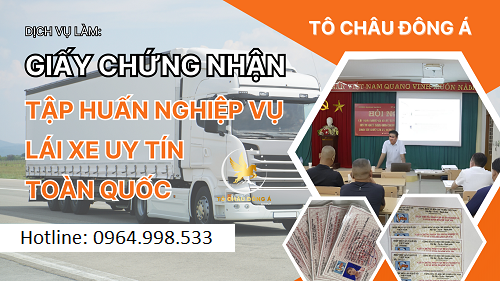 Hướng dẫn học chứng chỉ tập huấn nghiệp vụ lái xe đơn giản tại Cà Mau