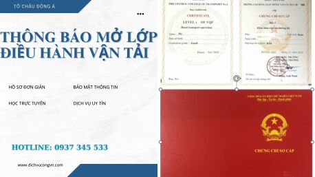 Tuyển Sinh Khóa Điều Hành Vận Tải Ở Cần Thơ – Lịch Học Linh Hoạt